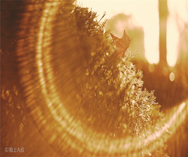 為什么大家喜歡在4月份裝修房子呢？